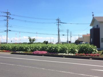7月30日現在
