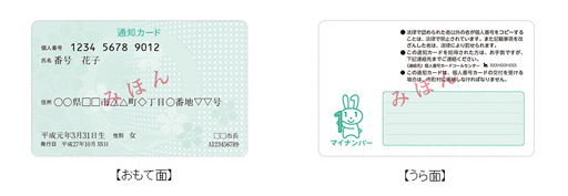 通知カード(サンプル)