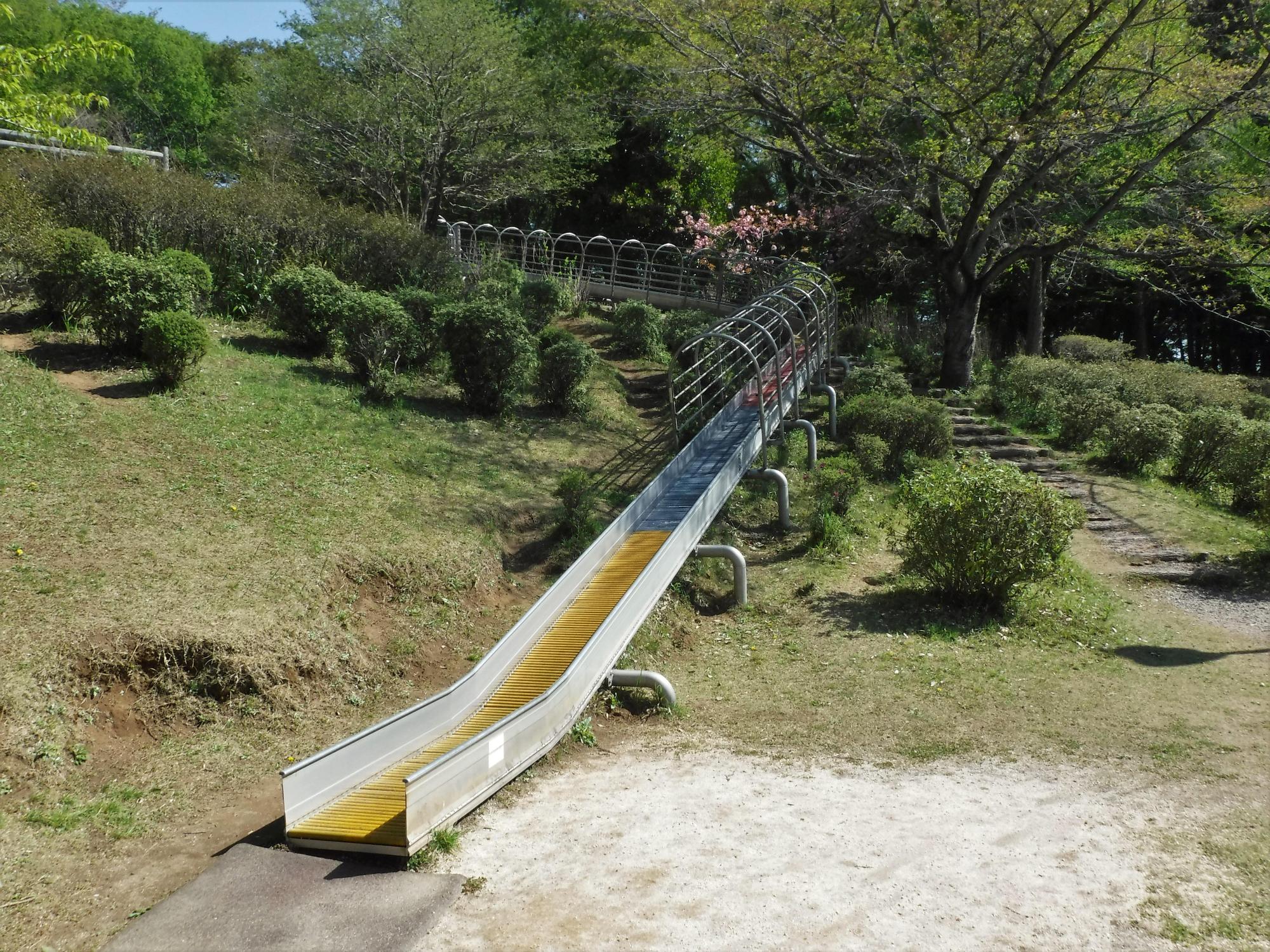 furumorisuberidai