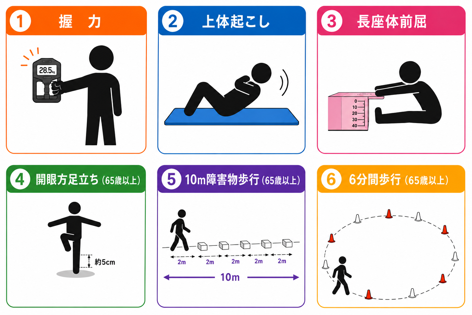 体力測定会種目(65歳から79歳まで)