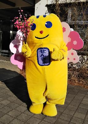 jissyabanhanamomomeisuikun