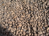 zyari