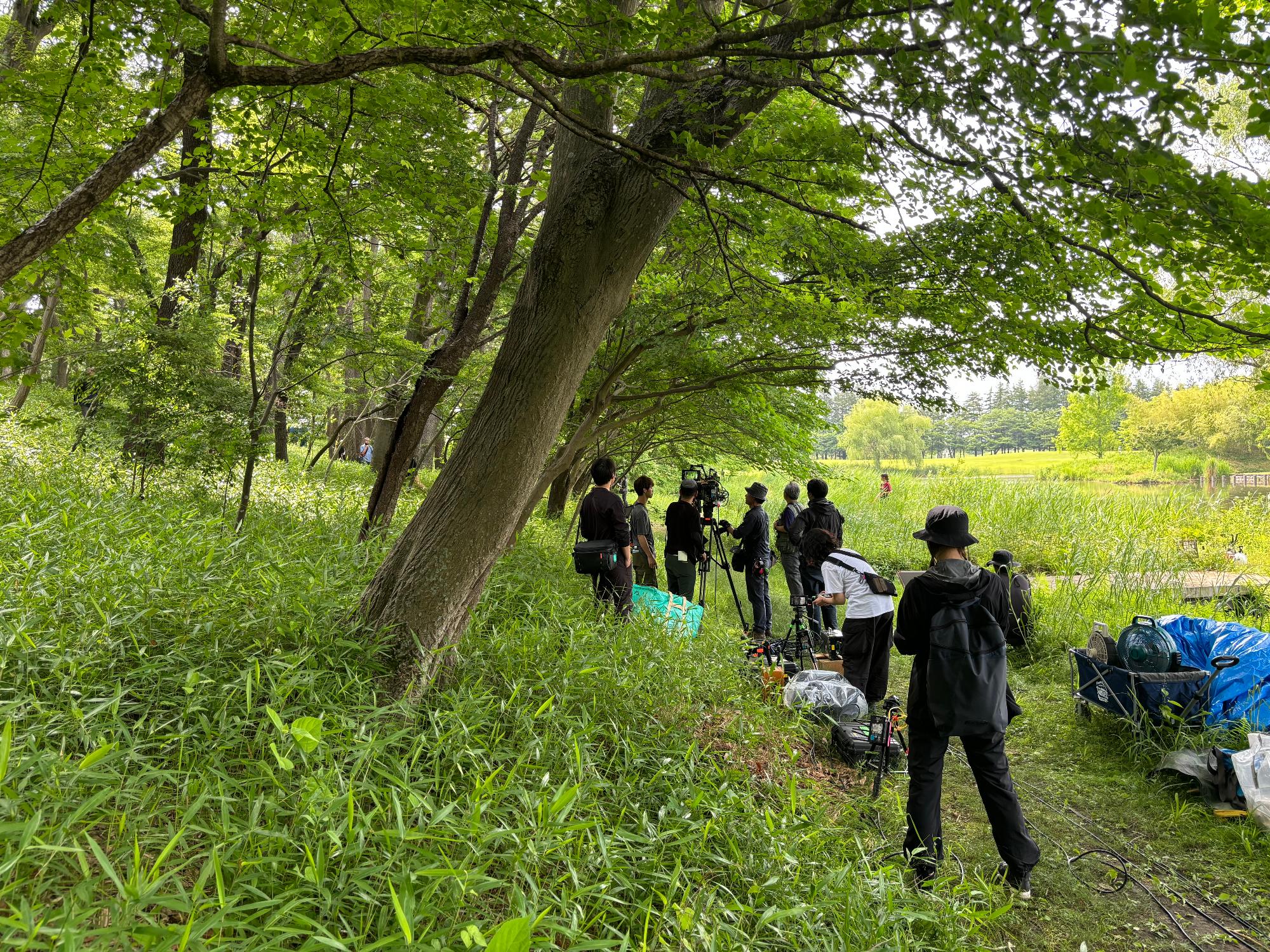 大河ドラマべらぼう撮影風景古河公方公園草むら