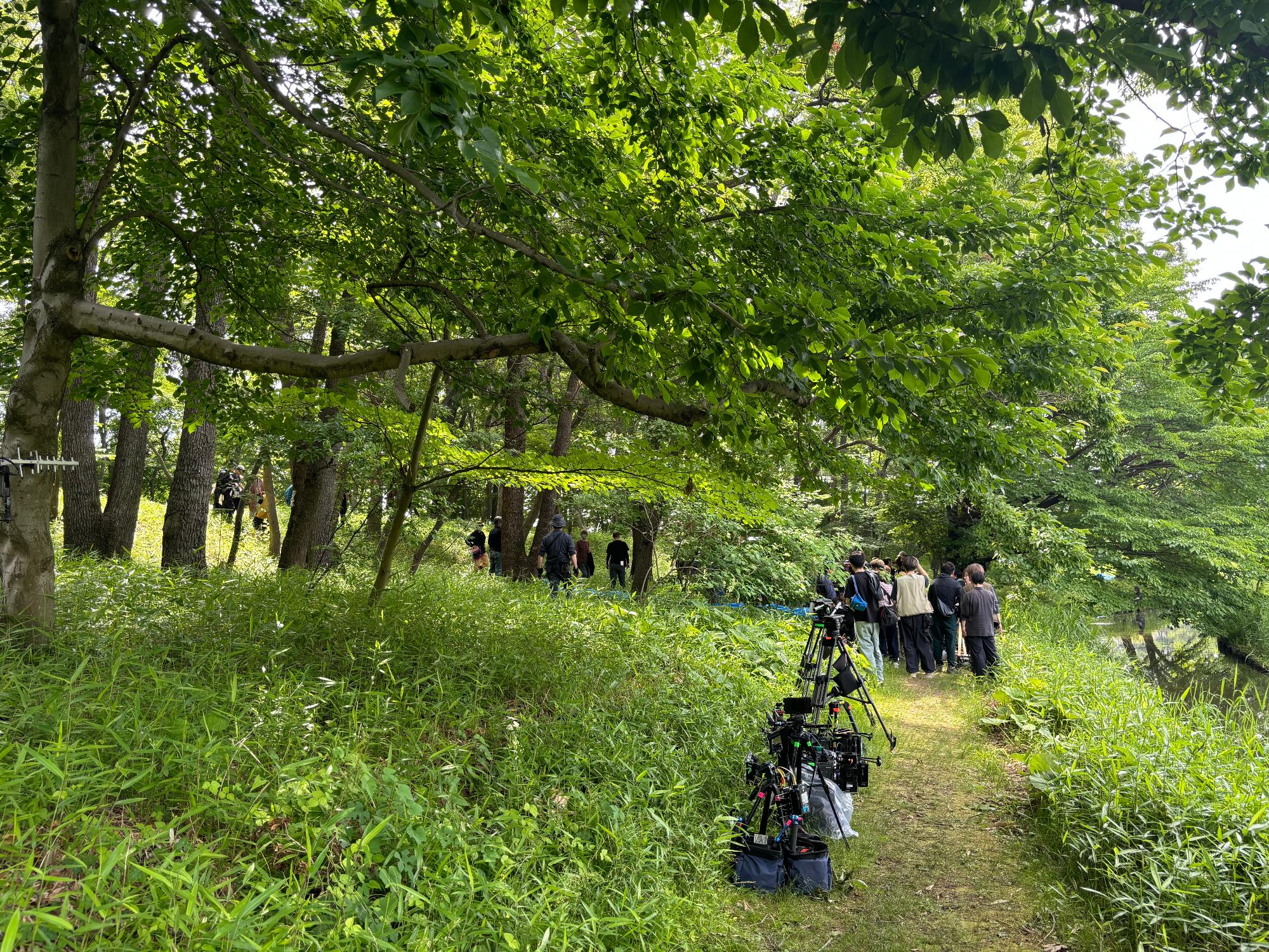 大河ドラマべらぼう撮影風景古河公方公園草むら