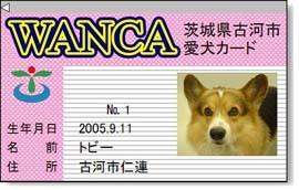 愛犬カード「WANCA」