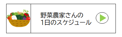 野菜農家さんの1日のスケジュール