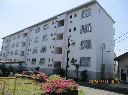 城郭外市営住宅全景