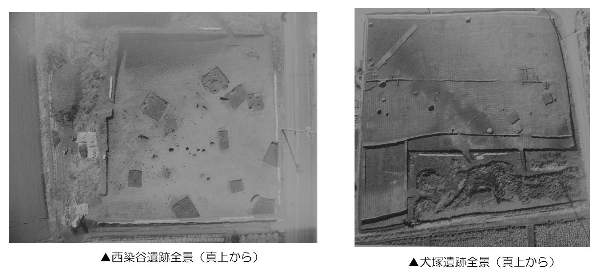 西染谷遺跡・犬塚遺跡全景