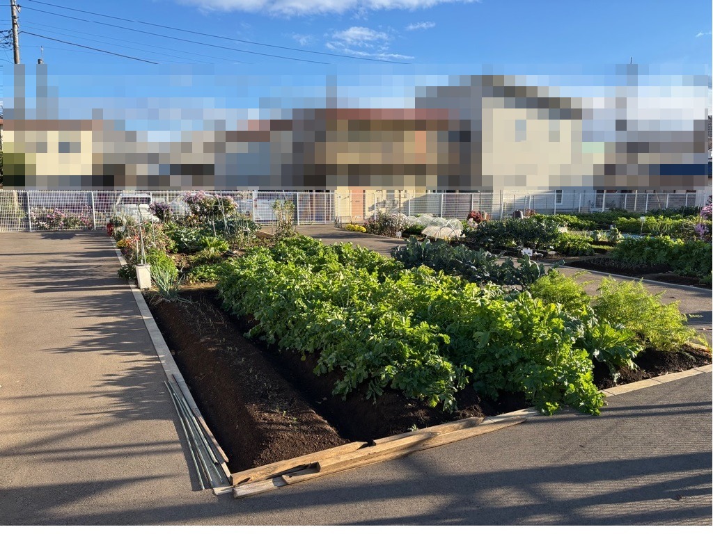 まつなみ農園1