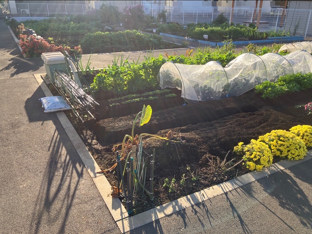 まつなみ農園3