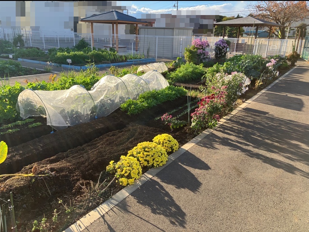 まつなみ農園4