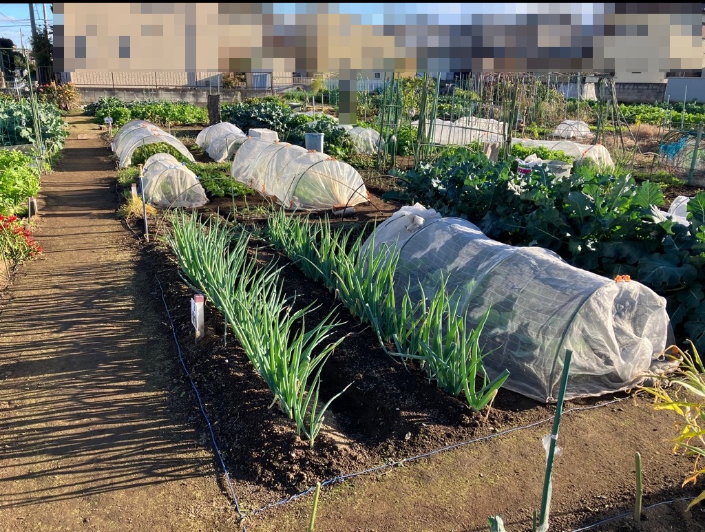 ときわ農園44